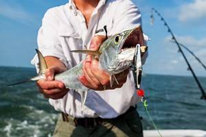 4 Top Places for Deep Sea Fishing in Texas