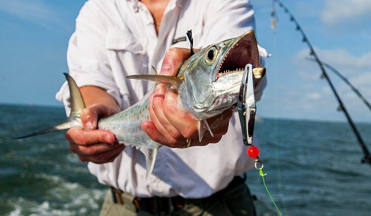 4 Top-Rated Places for Deep Sea Fishing in South Carolina