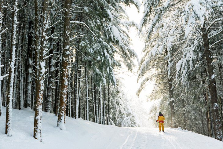 5 Top-Rated Ski Resorts in Maine, 2023/24