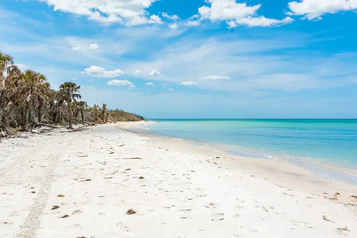 6 Best Beaches in Tarpon Springs, FL