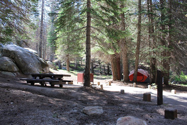 6 Best Campgrounds in Sequoia National Park