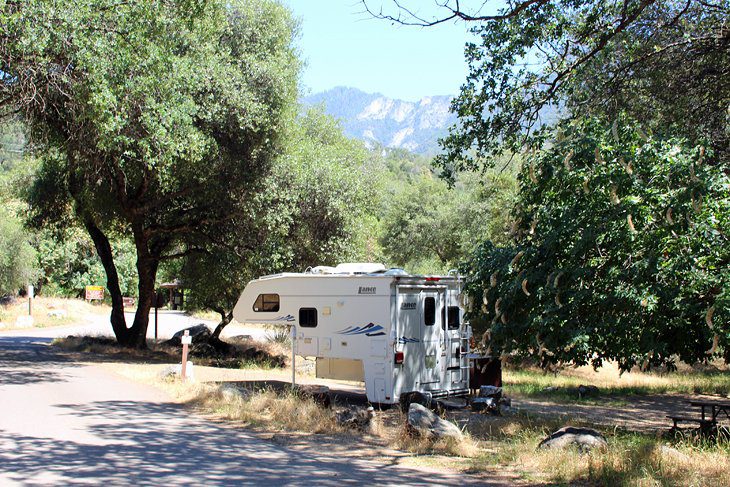 6 Best Campgrounds in Sequoia National Park