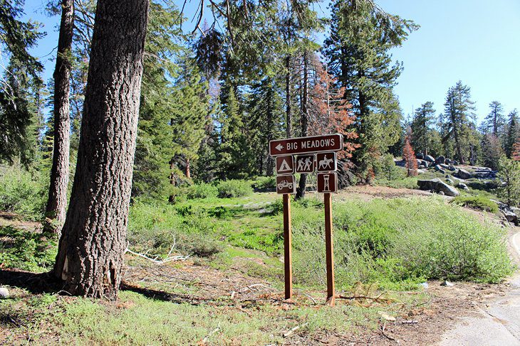 6 Best Campgrounds in Sequoia National Park