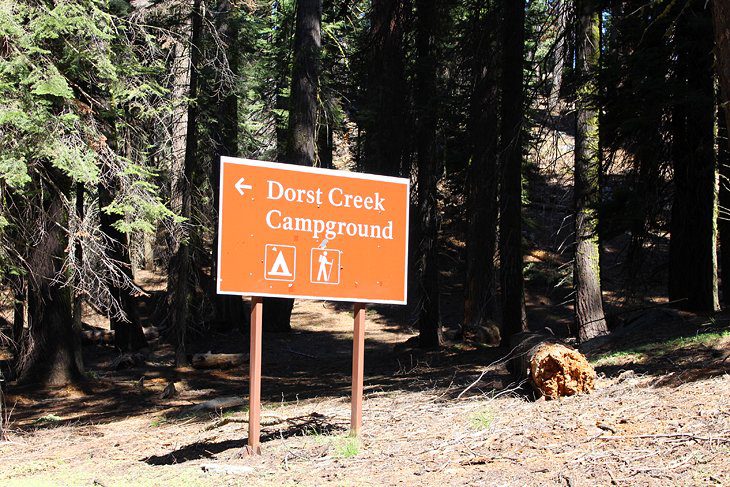 6 Best Campgrounds in Sequoia National Park