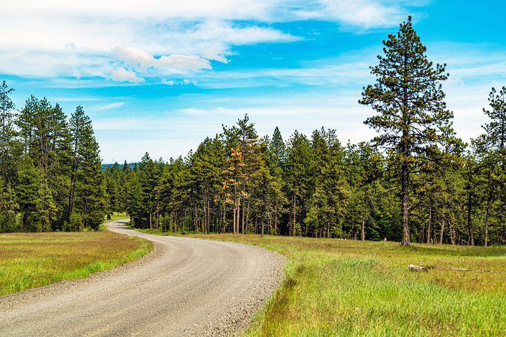 6 Best National Forests in Washington State