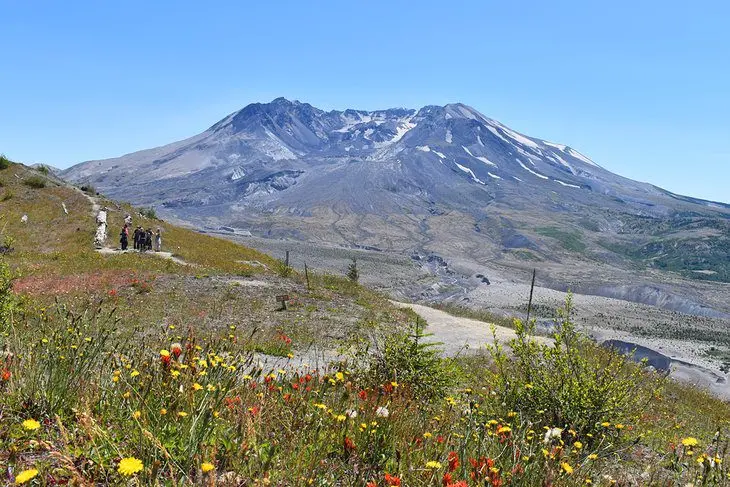 6 Best National Forests in Washington State