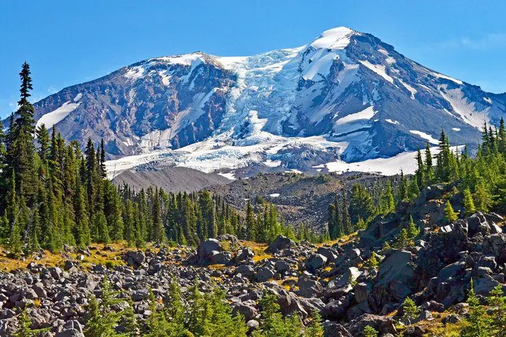 6 Best National Forests in Washington State