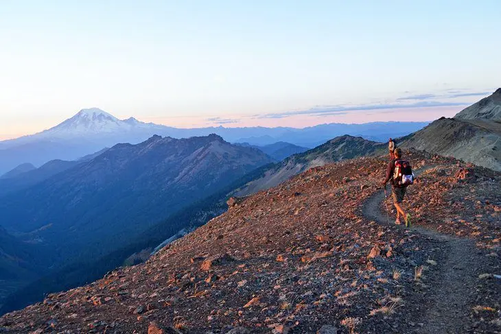 6 Best National Forests in Washington State