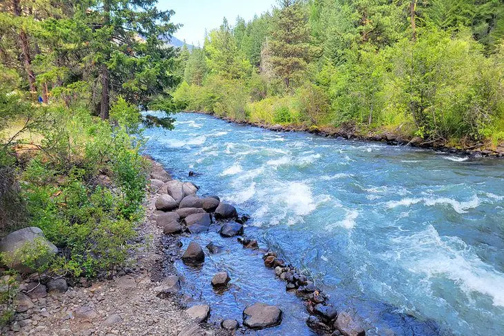 6 Best National Forests in Washington State