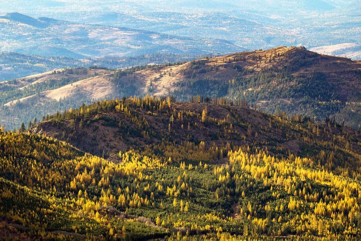 6 Best National Forests in Washington State