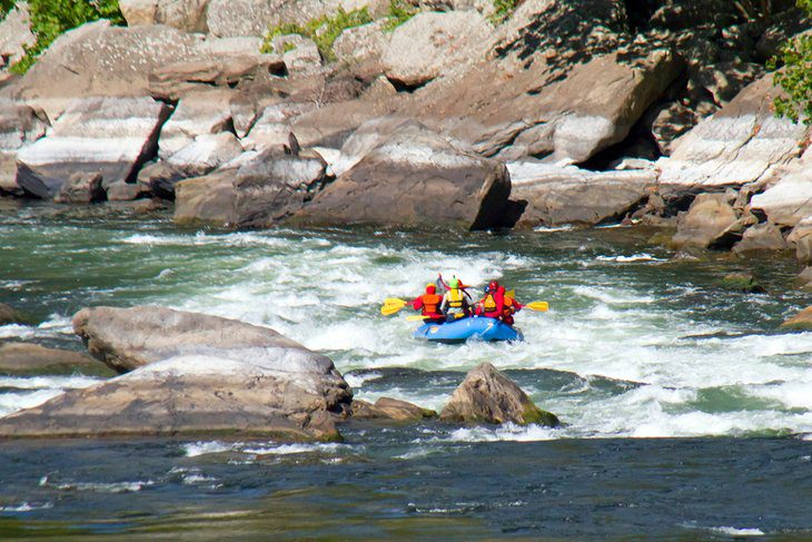 6 Best White Water Rafting Rivers in West Virginia