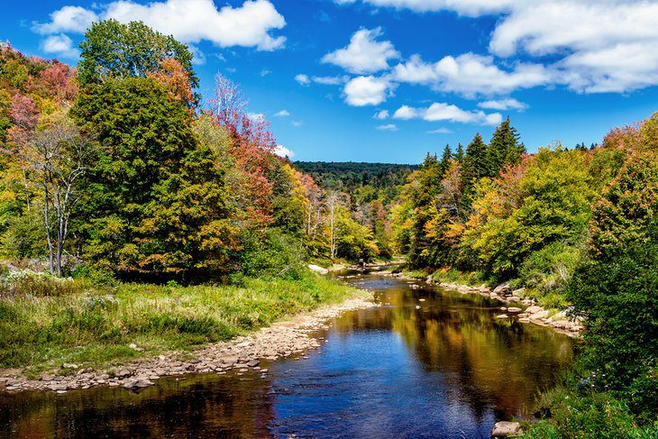 6 Best White Water Rafting Rivers in West Virginia