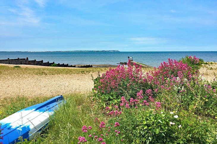 7 Best Beaches in Whitstable, Kent