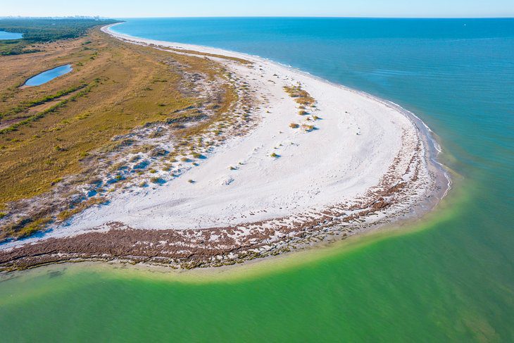 7 Best Beaches near Dunedin, FL