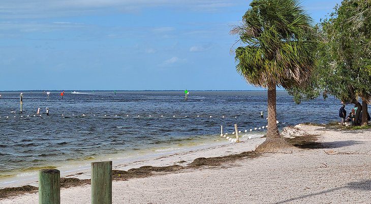 7 Best Beaches near Dunedin, FL