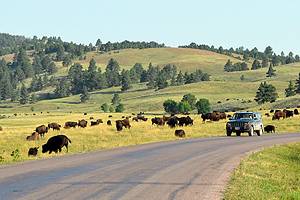 7 Best Campgrounds in Badlands National Park, SD