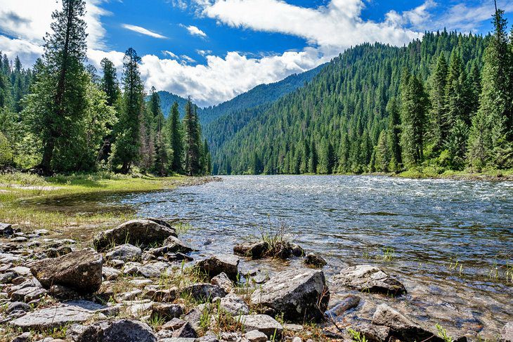 7 Best National Forests in Idaho