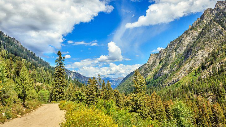 7 Best National Forests in Idaho