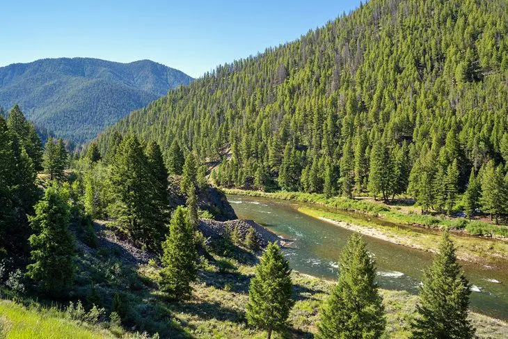 7 Best National Forests in Idaho