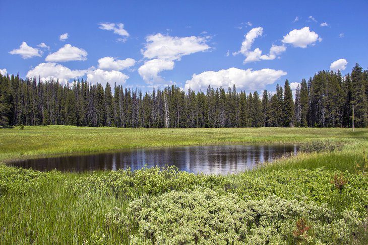 7 Best National Forests in Idaho