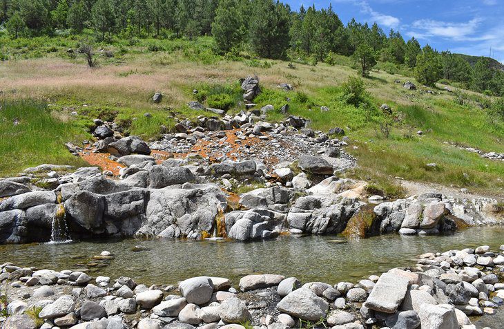 7 Best National Forests in Idaho