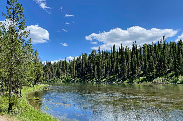 7 Best National Forests in Idaho