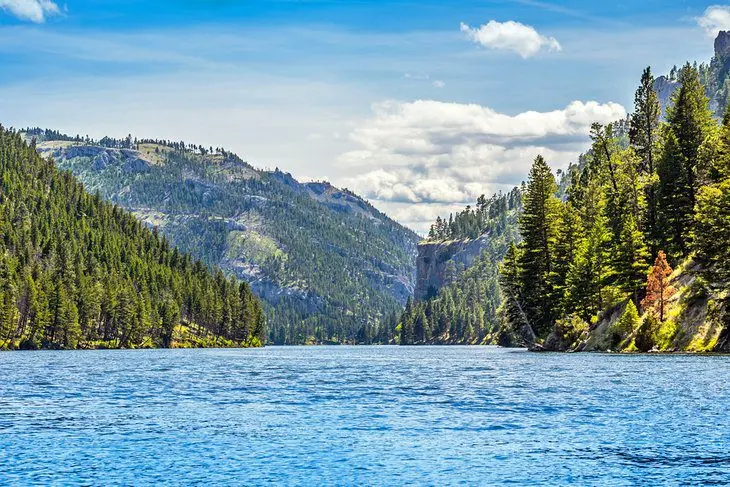 7 Best National Forests in Montana