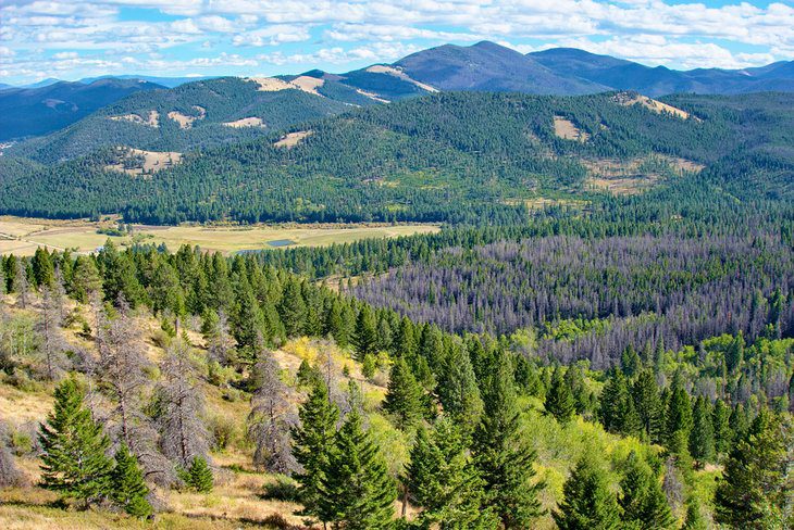 7 Best National Forests in Montana