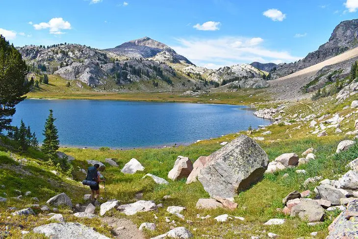 7 Best National Forests in Montana