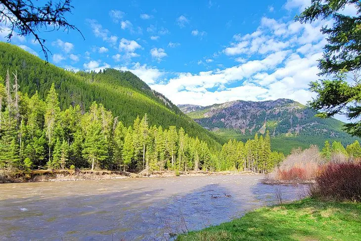 7 Best National Forests in Montana