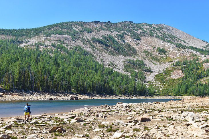 7 Best National Forests in Montana