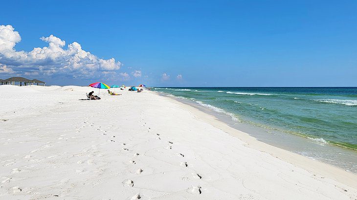 7 Best Things to Do in Navarre, FL