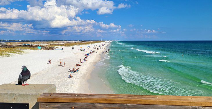 7 Best Things to Do in Navarre, FL