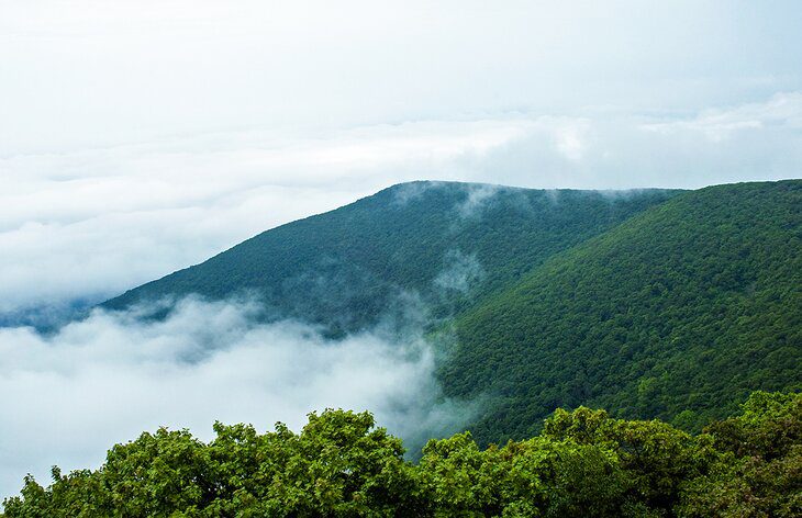 7 Hiking Trails in the Catskills that Locals Love