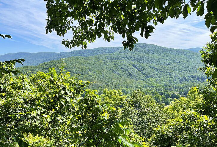 7 Hiking Trails in the Catskills that Locals Love