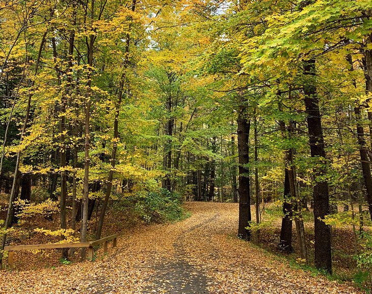 7 Hiking Trails in the Catskills that Locals Love