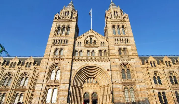 7 Things to See and Do at London&#8217;s Natural History Museum