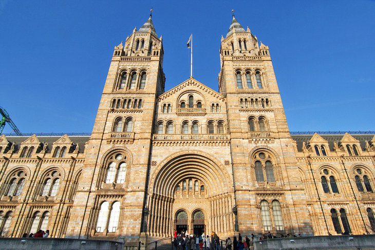 7 Things to See and Do at Londons Natural History Museum