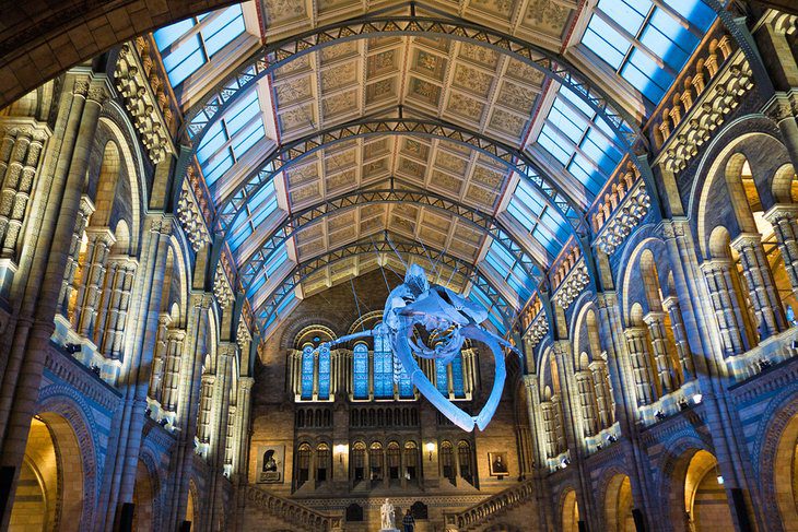 7 Things to See and Do at Londons Natural History Museum