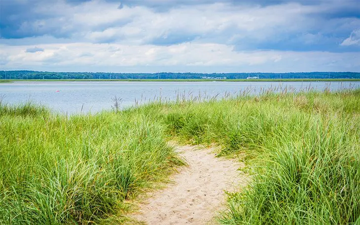 7 Top-Rated Beaches in New Hampshire