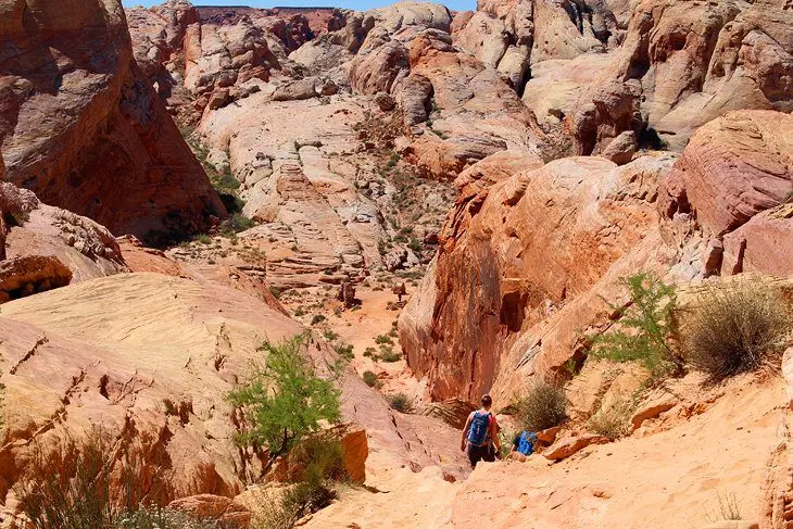 7 Top-Rated Hiking Trails in Valley of Fire State Park