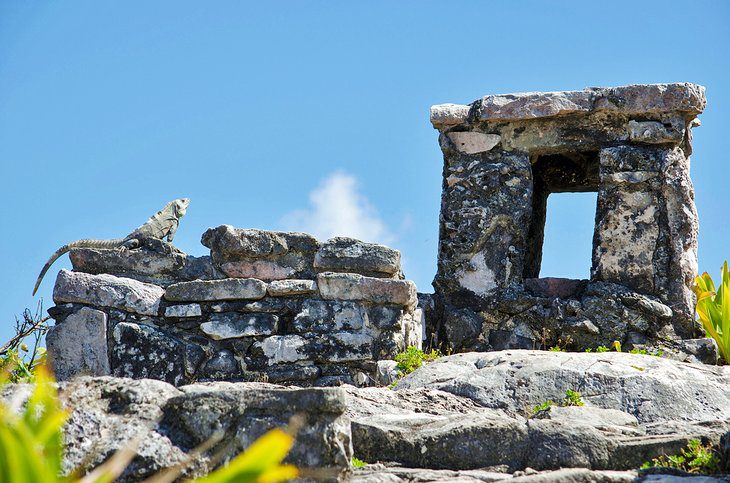 7 Top Things to See & Do at the Tulum Ruins