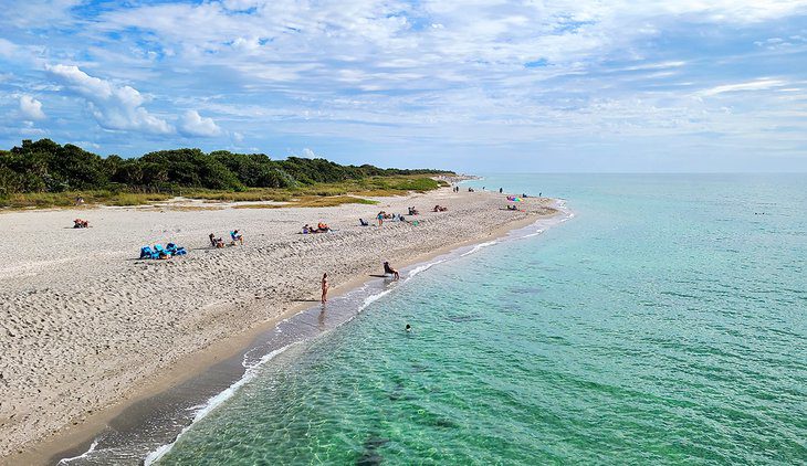 8 Best Beaches in Venice, Florida