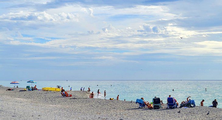 8 Best Beaches in Venice, Florida