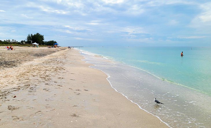 8 Best Beaches in Venice, Florida