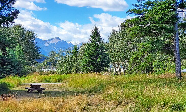 8 Best Campgrounds in Canmore, Alberta