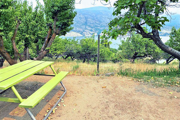 8 Best Campgrounds in Penticton, BC