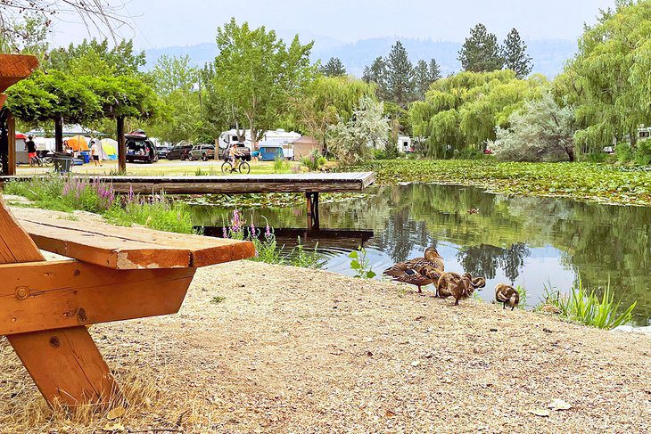 8 Best Campgrounds in Penticton, BC