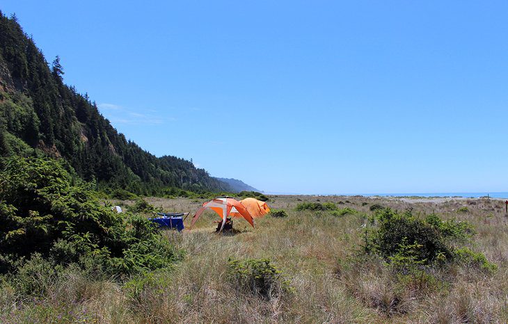 8 Best Campgrounds in Redwood National and State Parks, CA