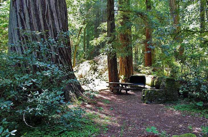 8 Best Campgrounds in Redwood National and State Parks, CA